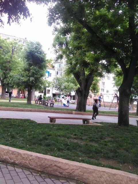 Борисова градина